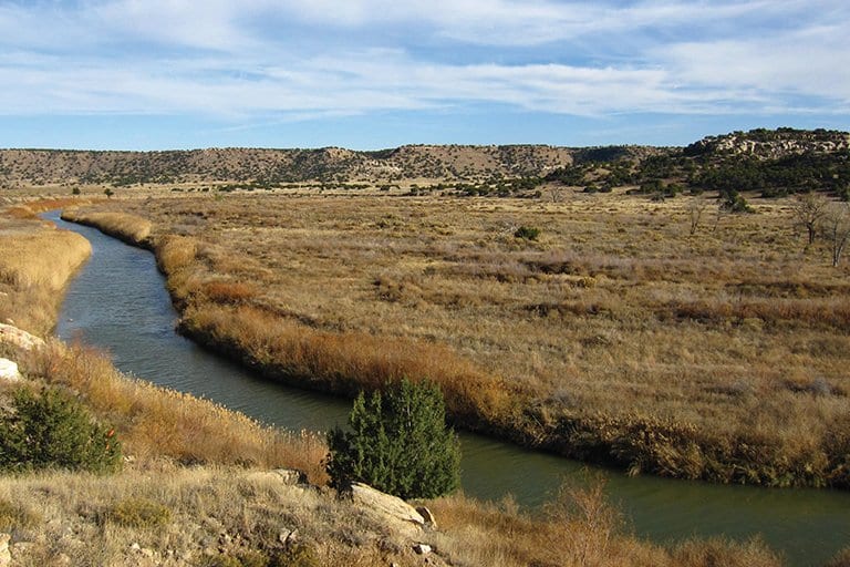 Agría Natural Capital invests in the restoration of degraded land.