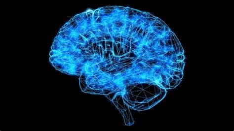 Biomedical Scientist 