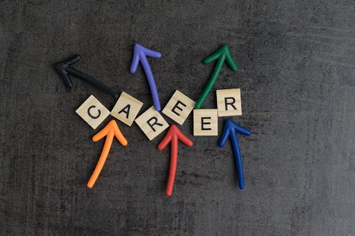 What is a portfolio professional?