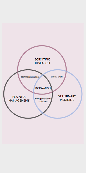 European market entry for AH startups