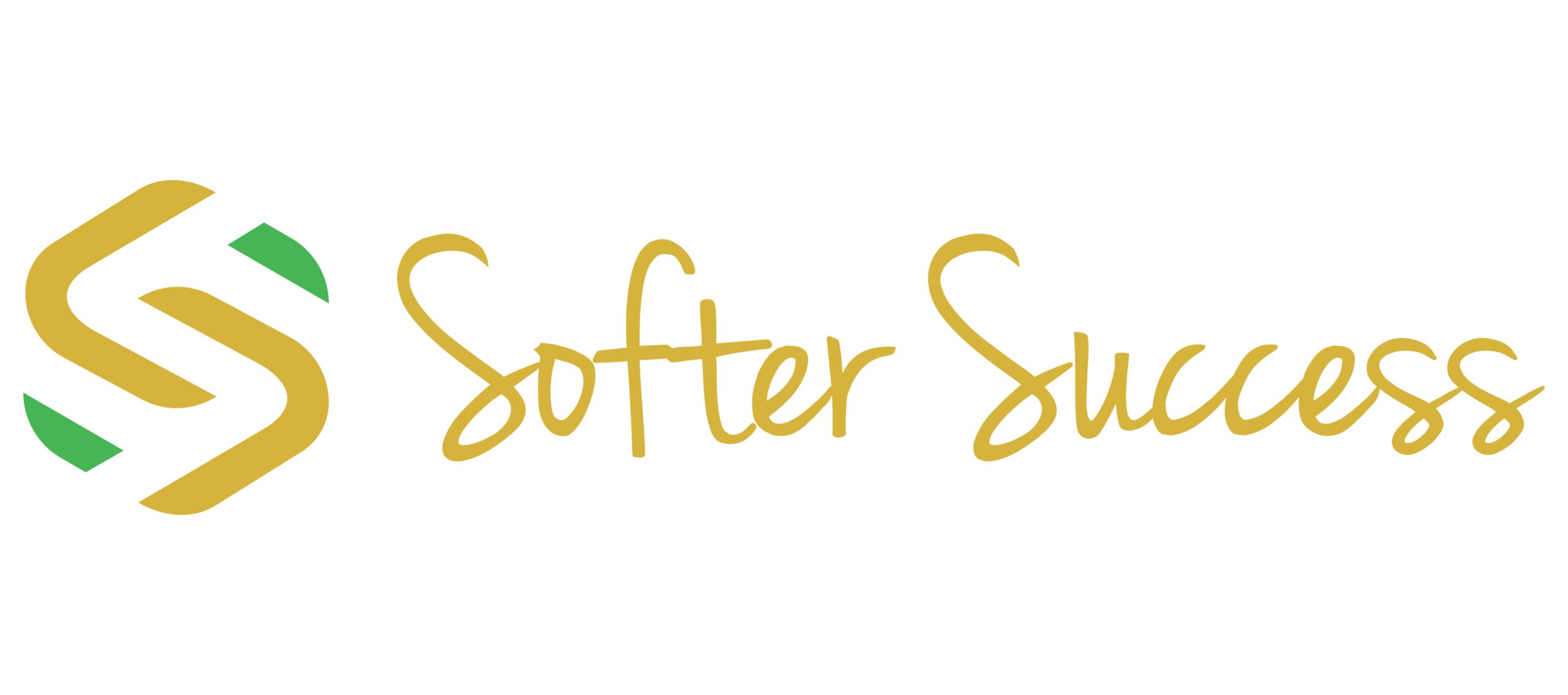 Founder and CEO at Softer Success