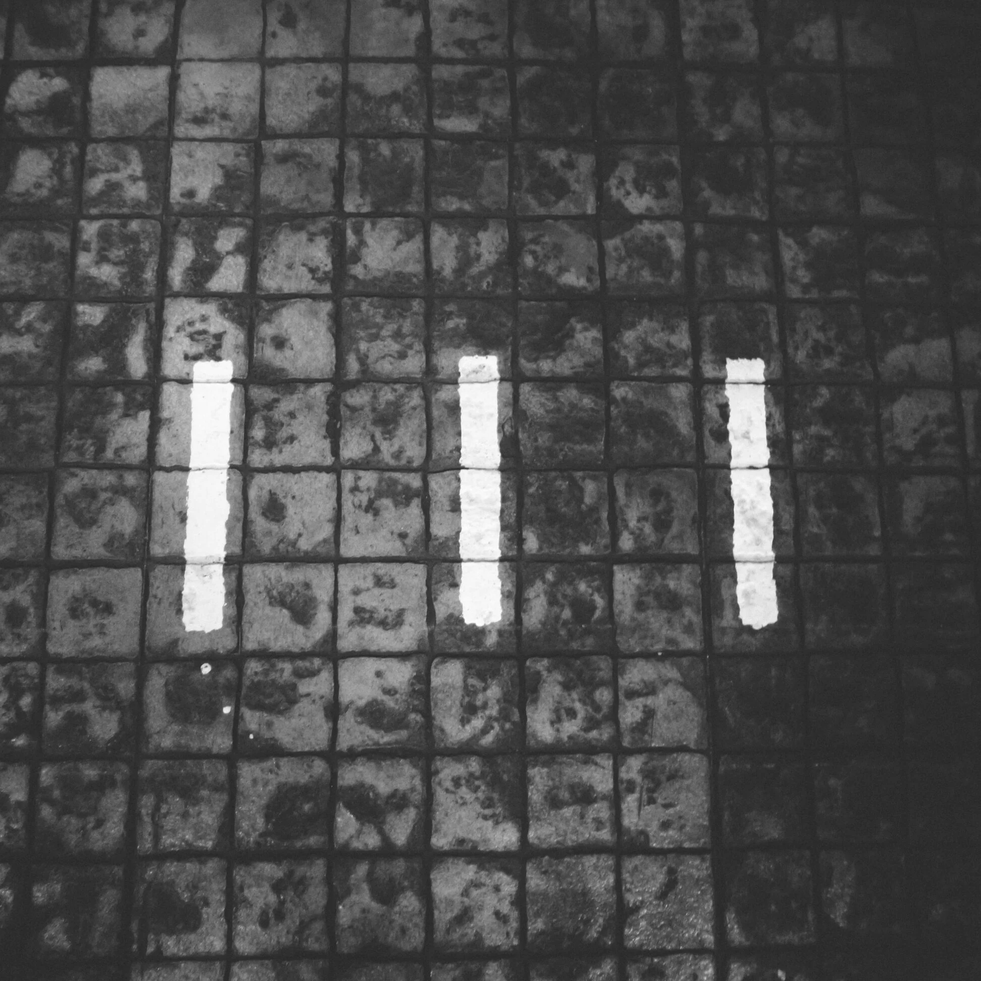 Undergraduate Teaching Assistant 