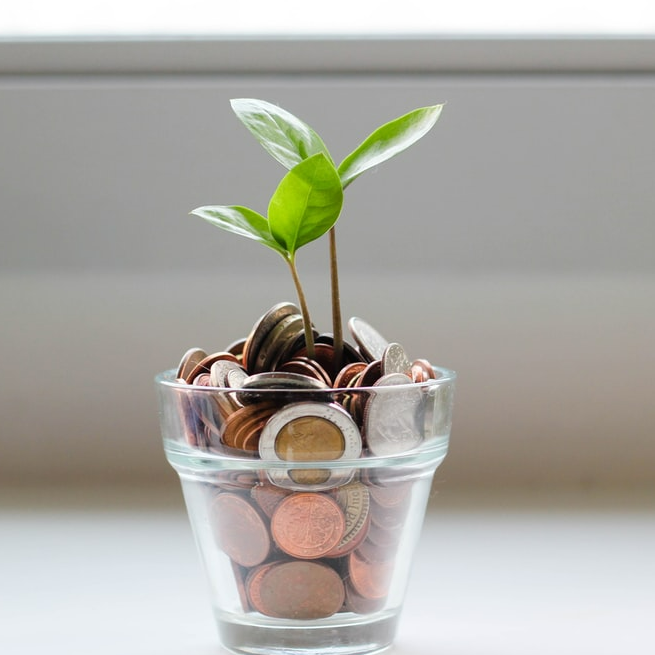 Growth Partner @ Concept