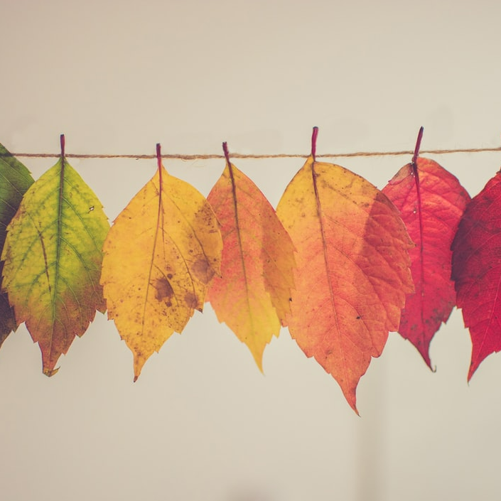 Change transformation