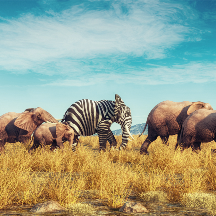 Helping professionals find the portfolio career they love