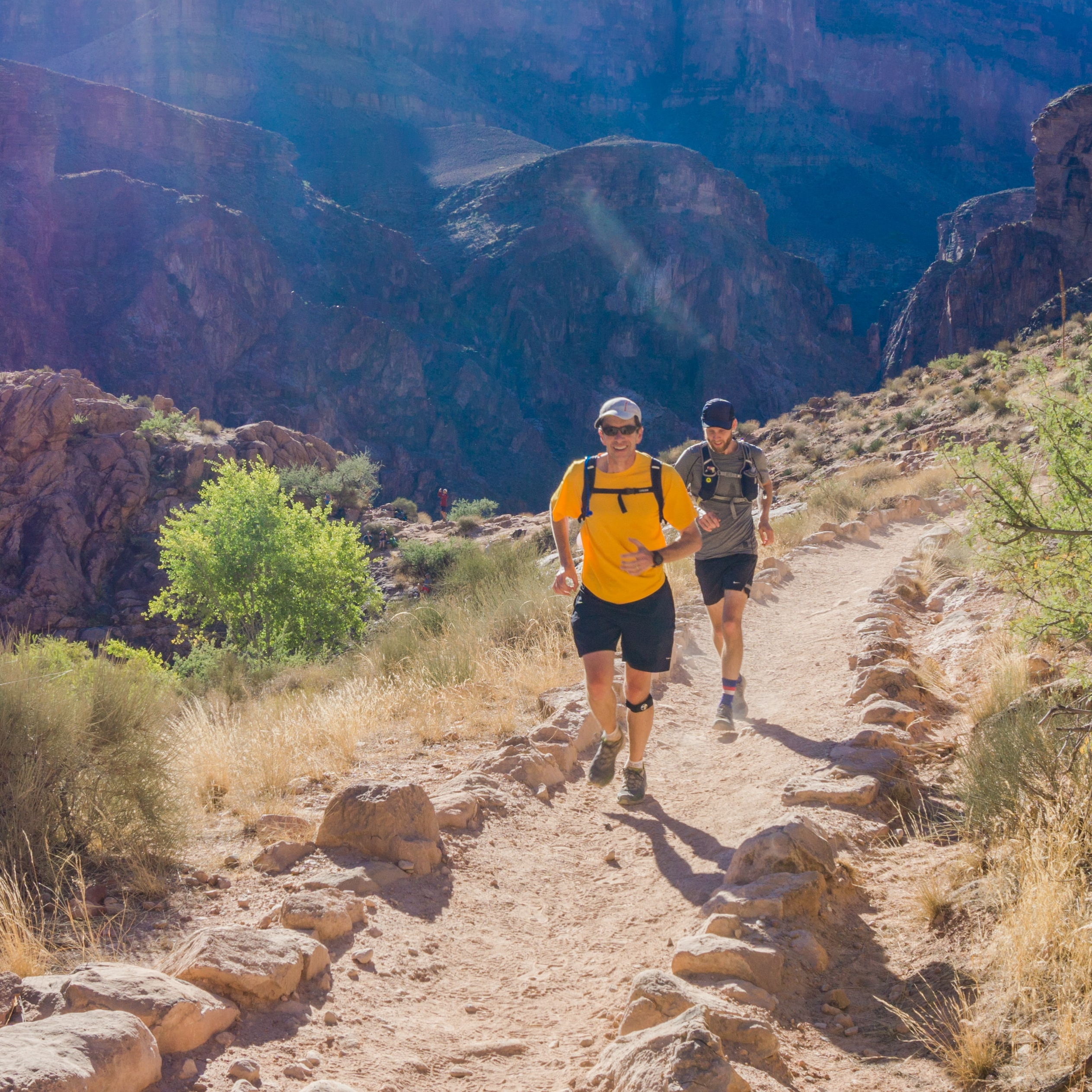 Mentoring for business growth