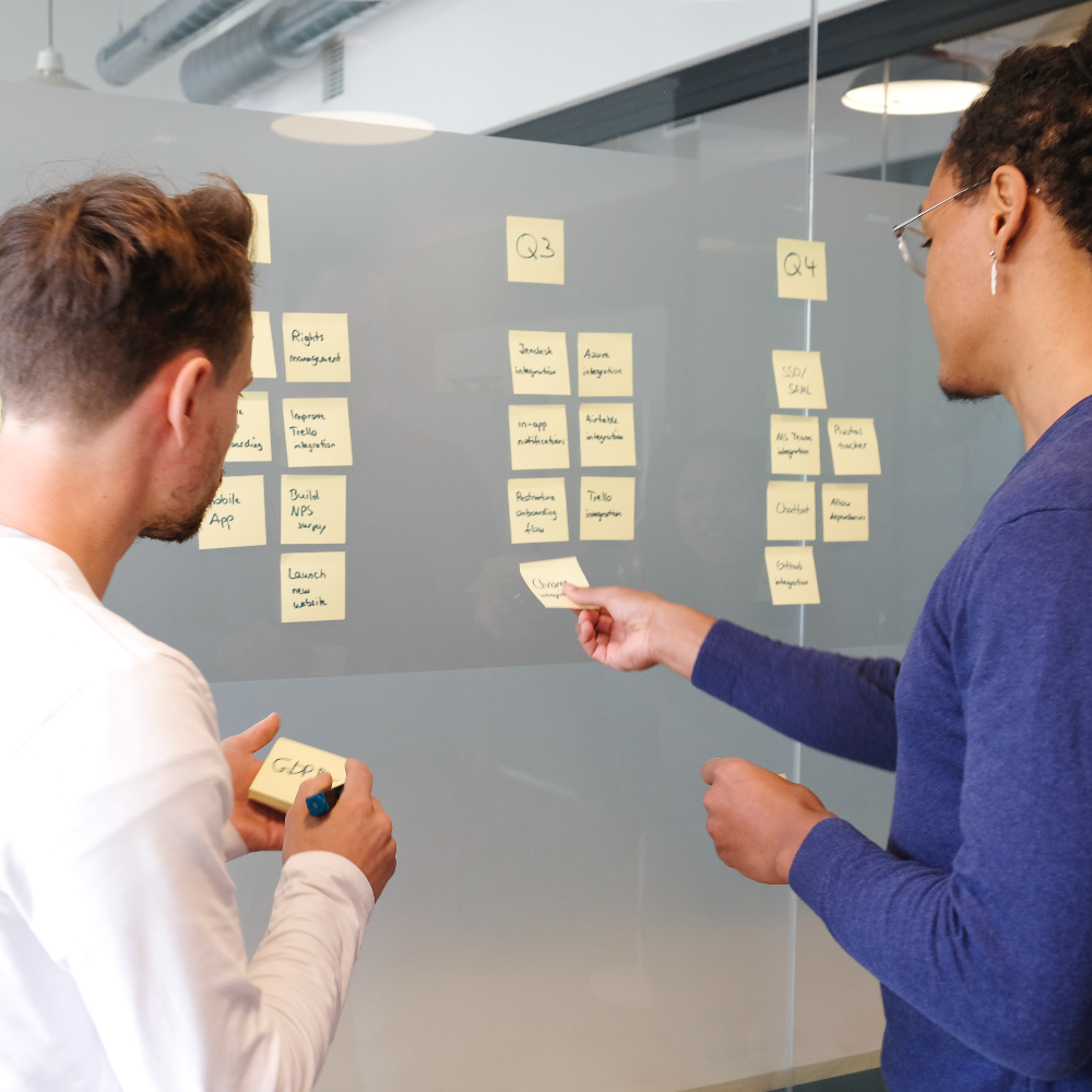 Programme and Project Management Services 