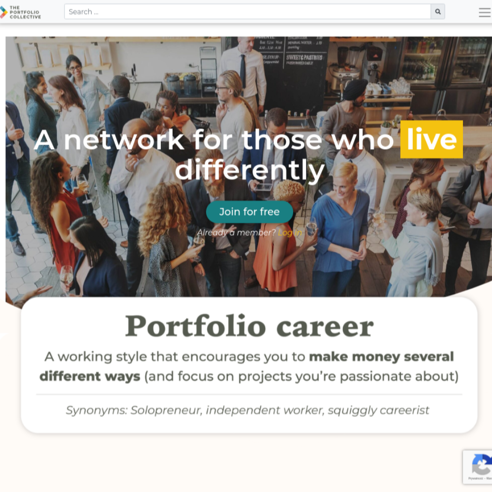 Software developer at The Porftolio Collective