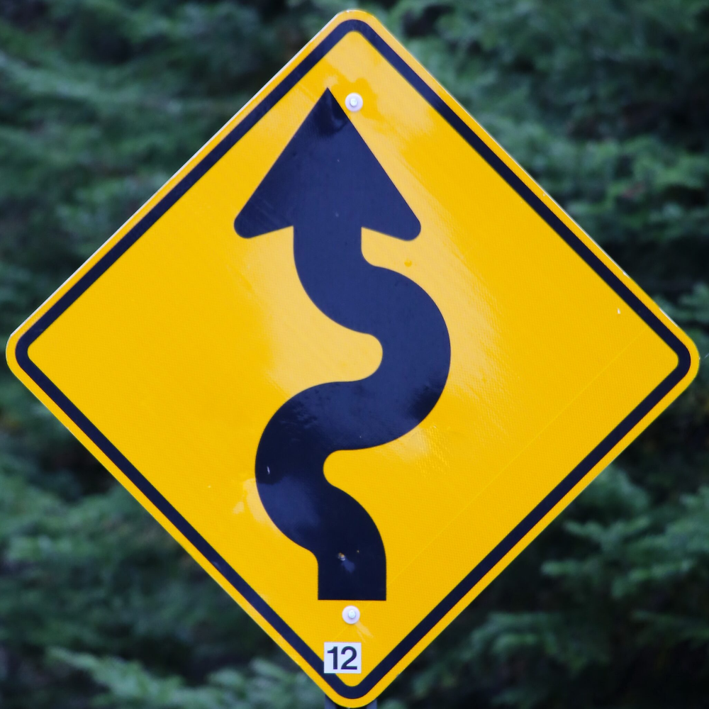 Strategy Development and Programme Planning