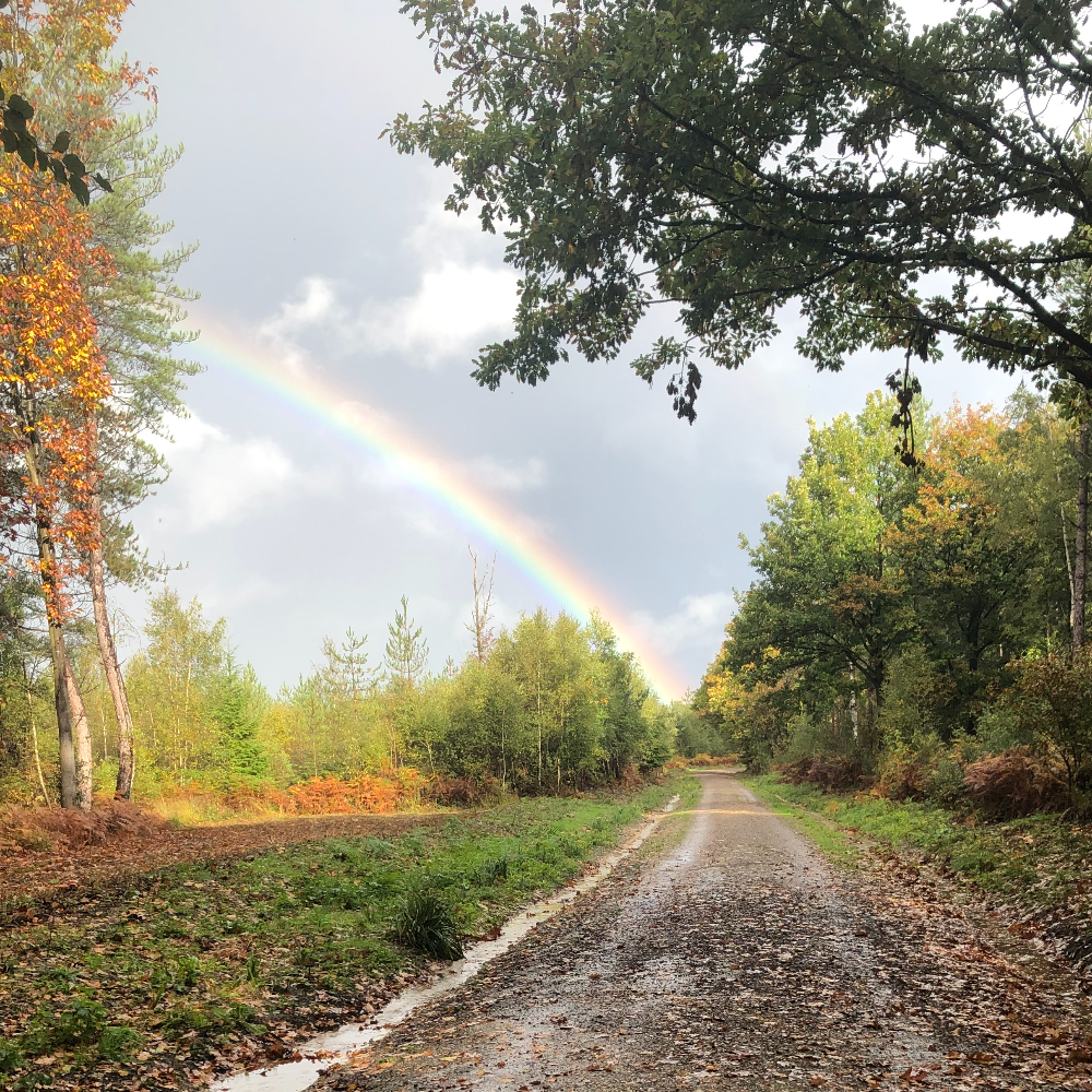 Crisis communications