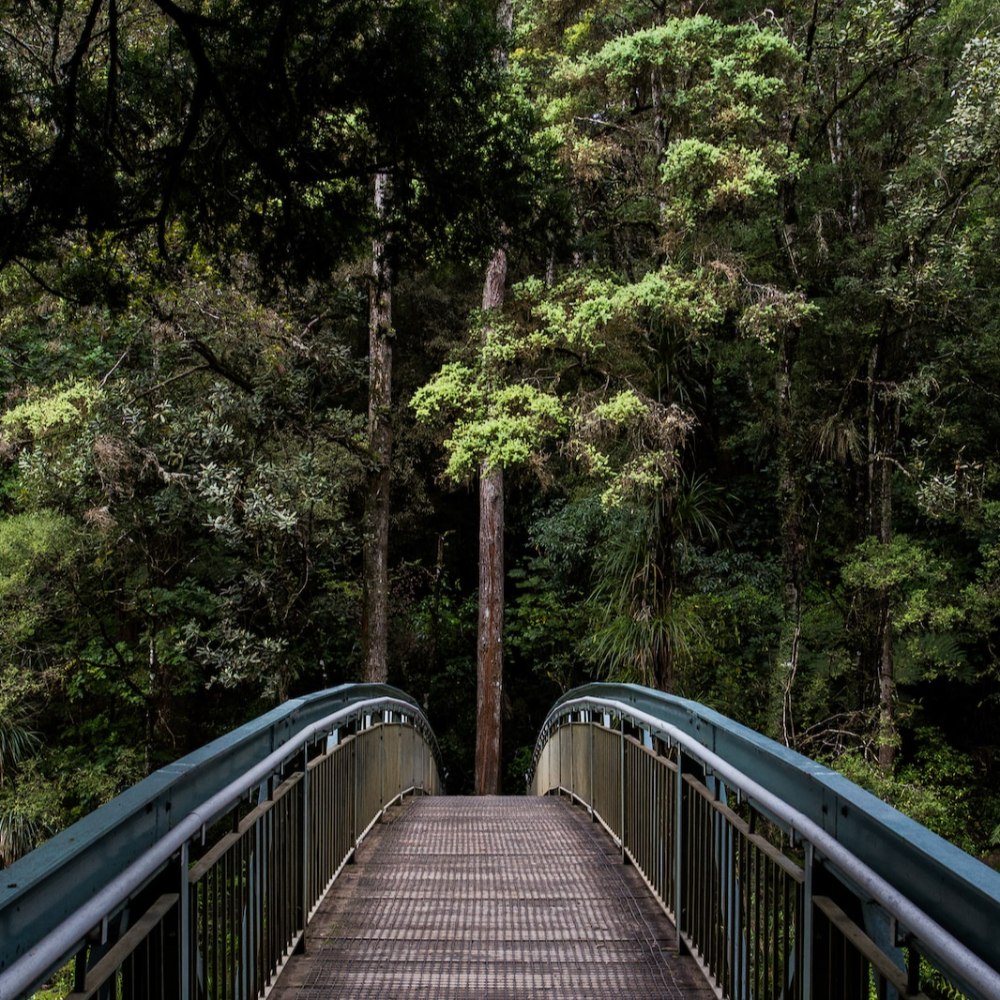 Climate Tech Consulting & Mentorship 