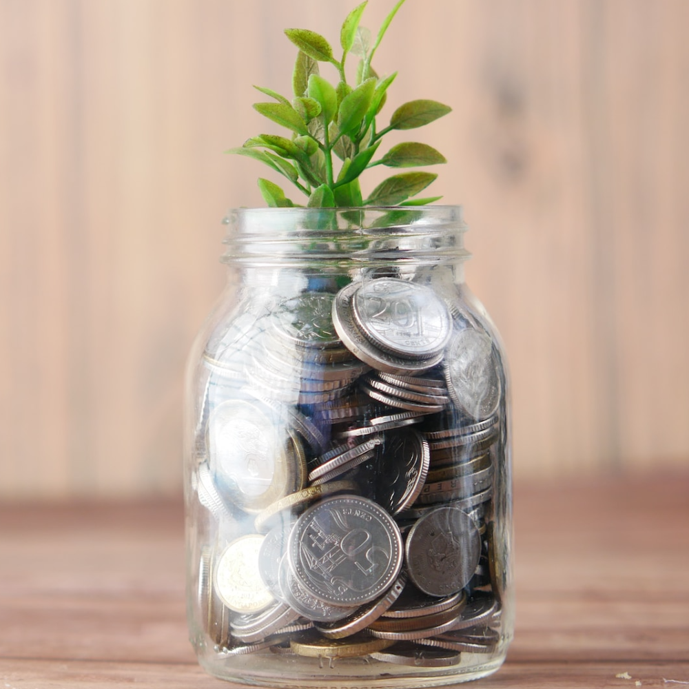 Fundraising & Investment in Climate Tech