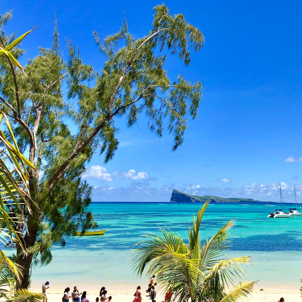 Designed & led digital transformation program for senior executives