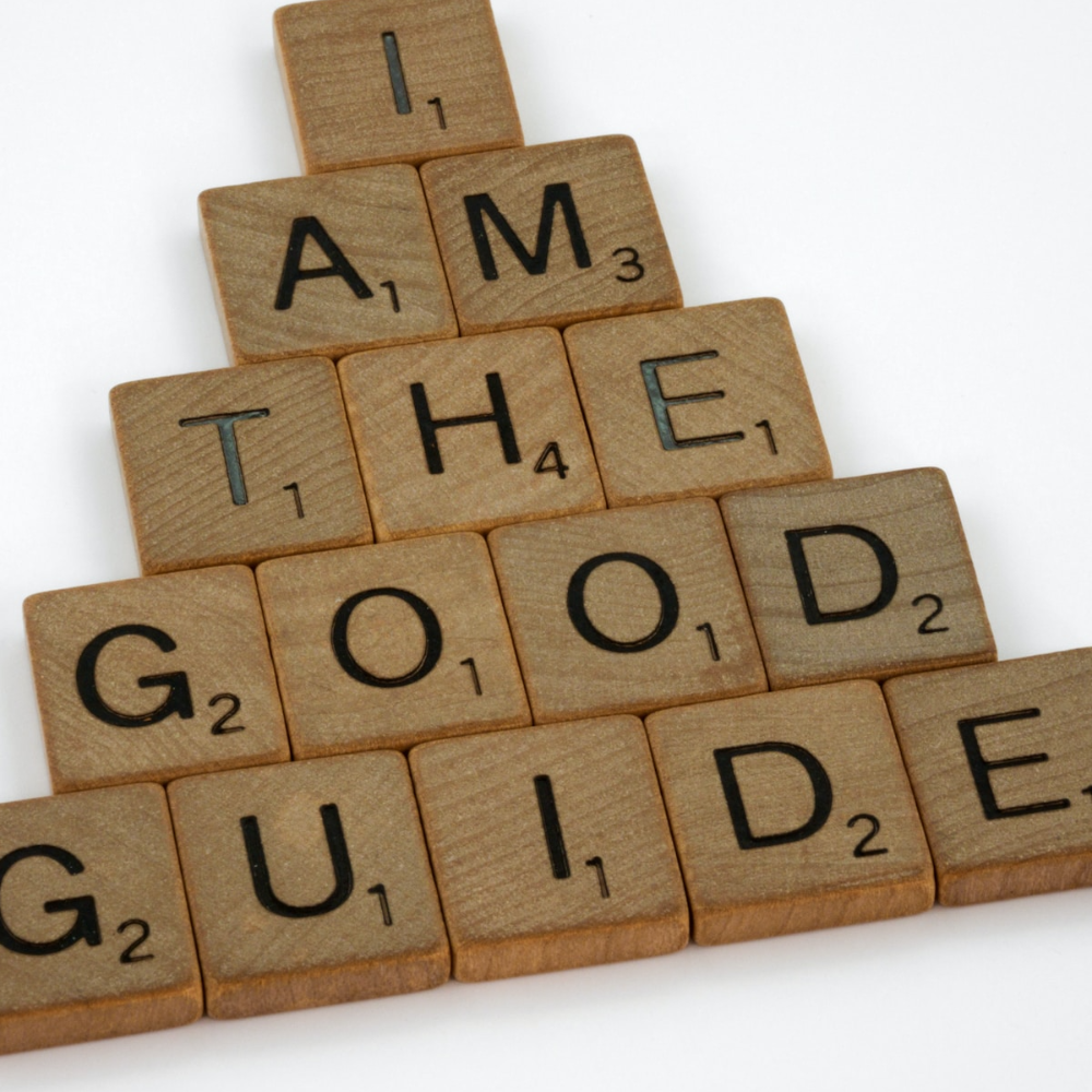 Assessments of good governance, accountability & ethics  