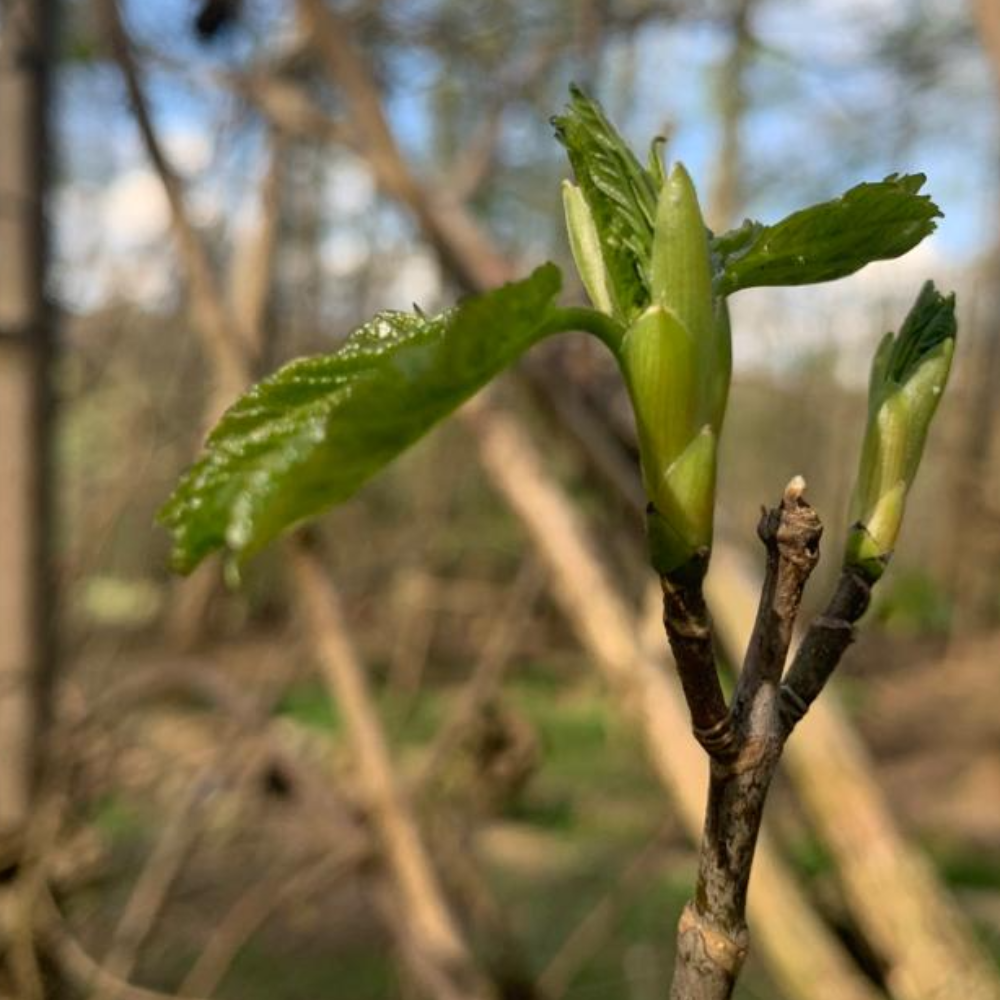 Fostering sustainable innovation 