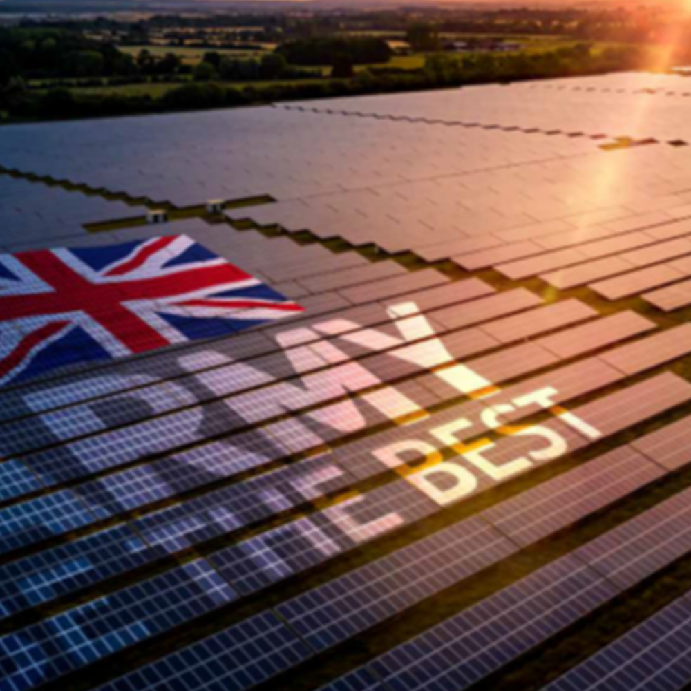 Climate Change and Sustainability Champion