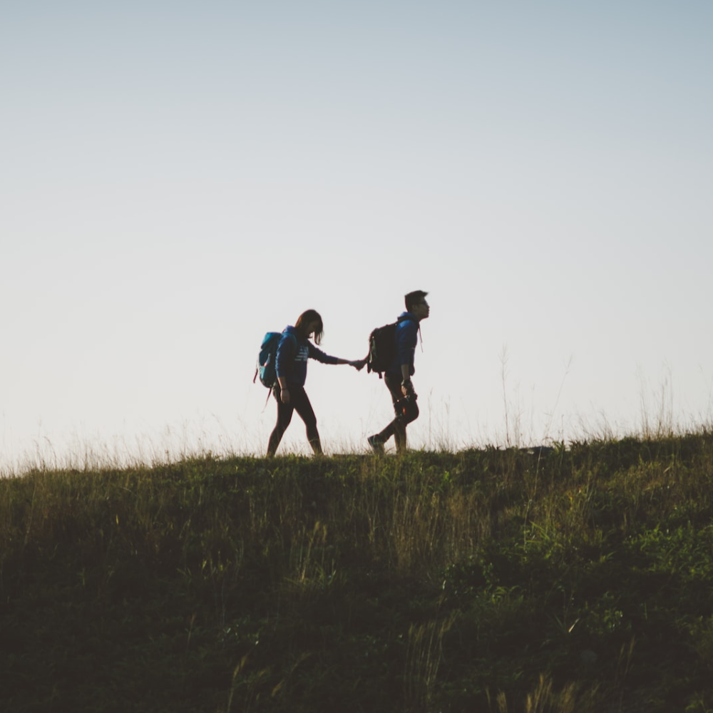 Workshop & facilitate team performance, leadership & personal impact