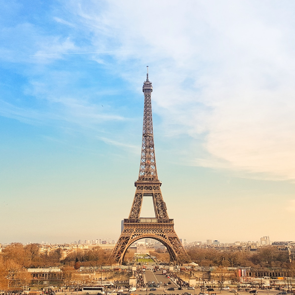 Europe Expansion Consultant