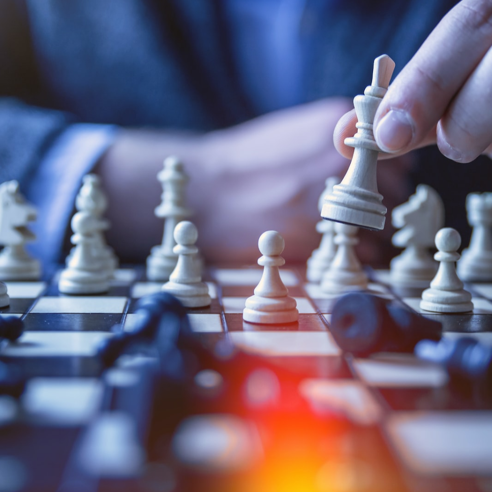 Fractional CRO; Rev Business Planning; Infrastruture Diagnosis/Design