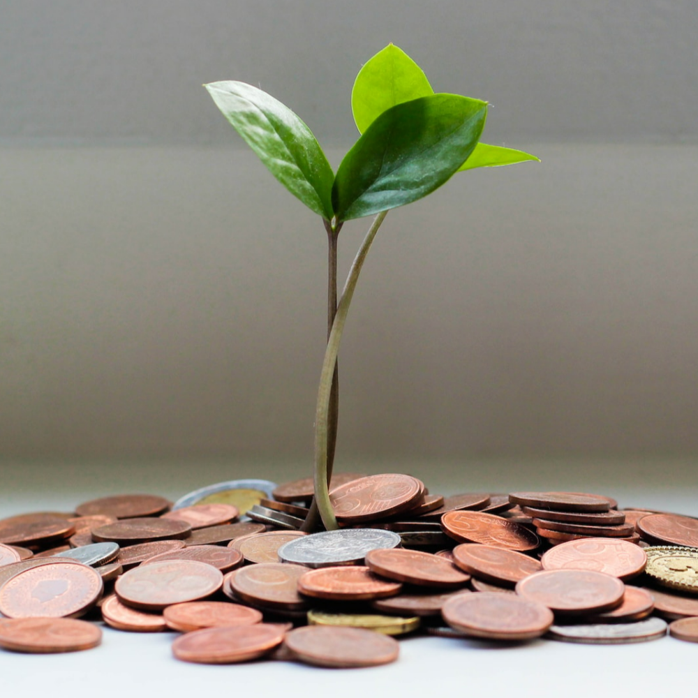 Fractional Revenue Growth Consultancy