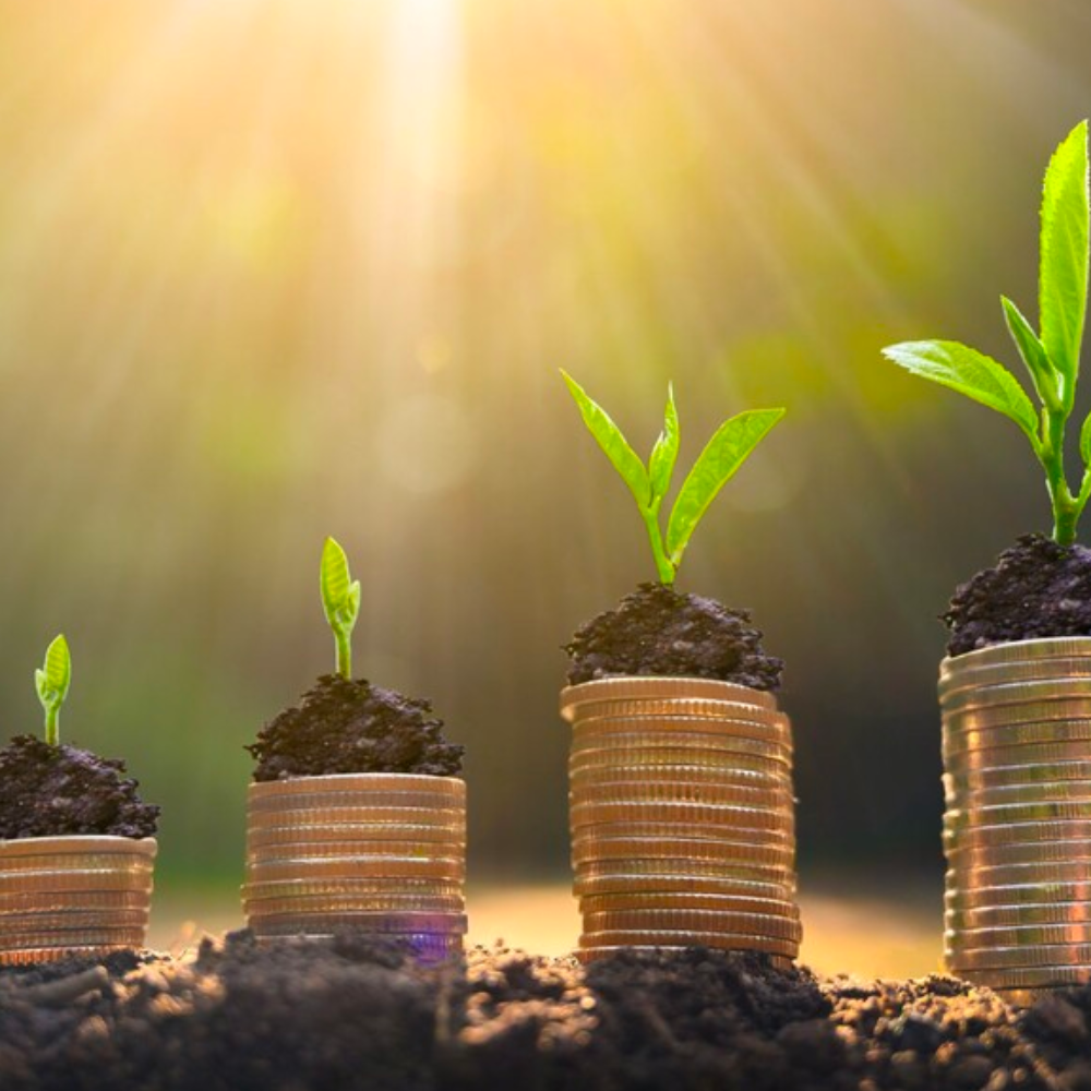 Revenue Growth Strategy