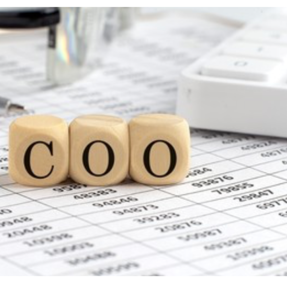 Fractional Chief Operating Officer