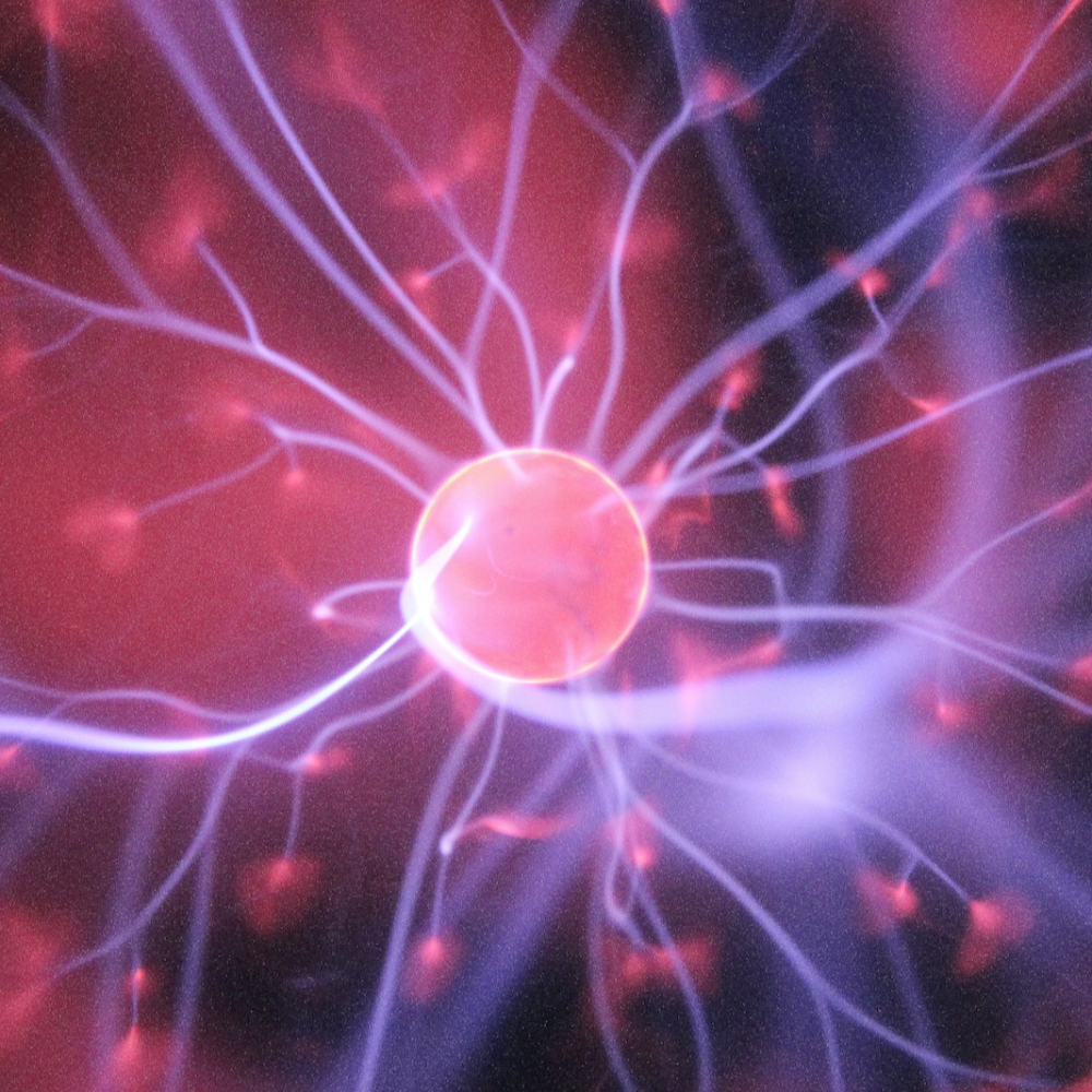 Neurodiversity advocate