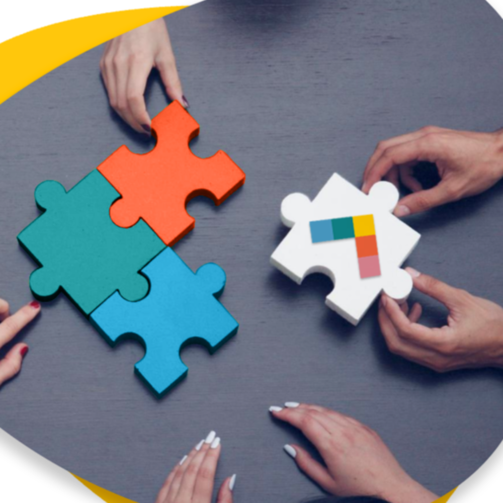 Venture Consulting - The Portfolio Collective