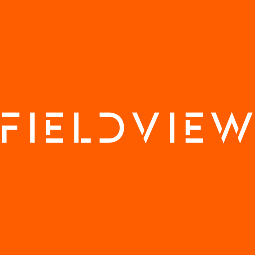 Fractional CFO to Automotive Scaleup