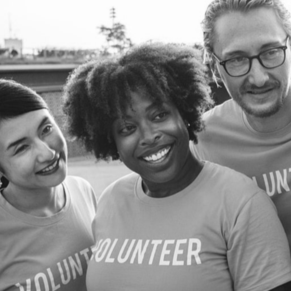 Trustee / NED - expanding funding sources