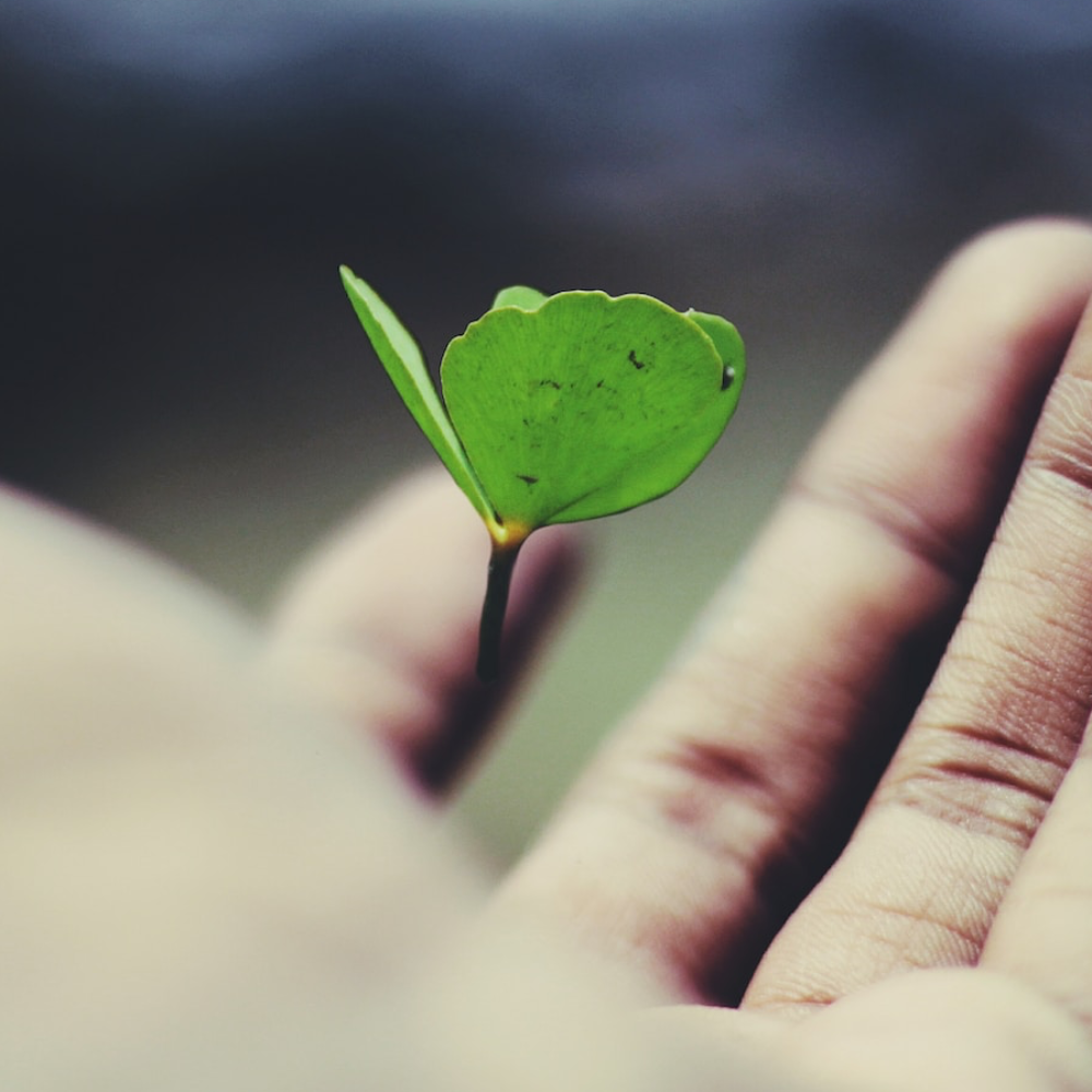 Advisory @ allpoints