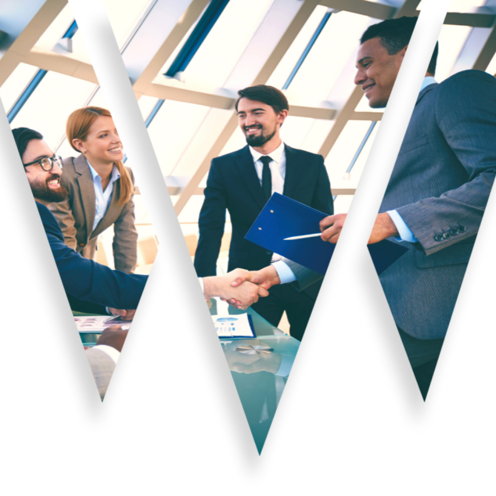 Business Growth Consultancy