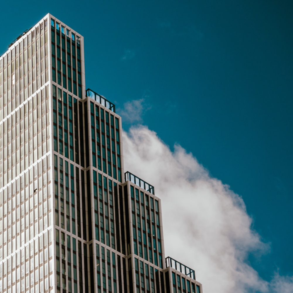 Agile Strategy & Execution with CEOs, Executives and their Teams