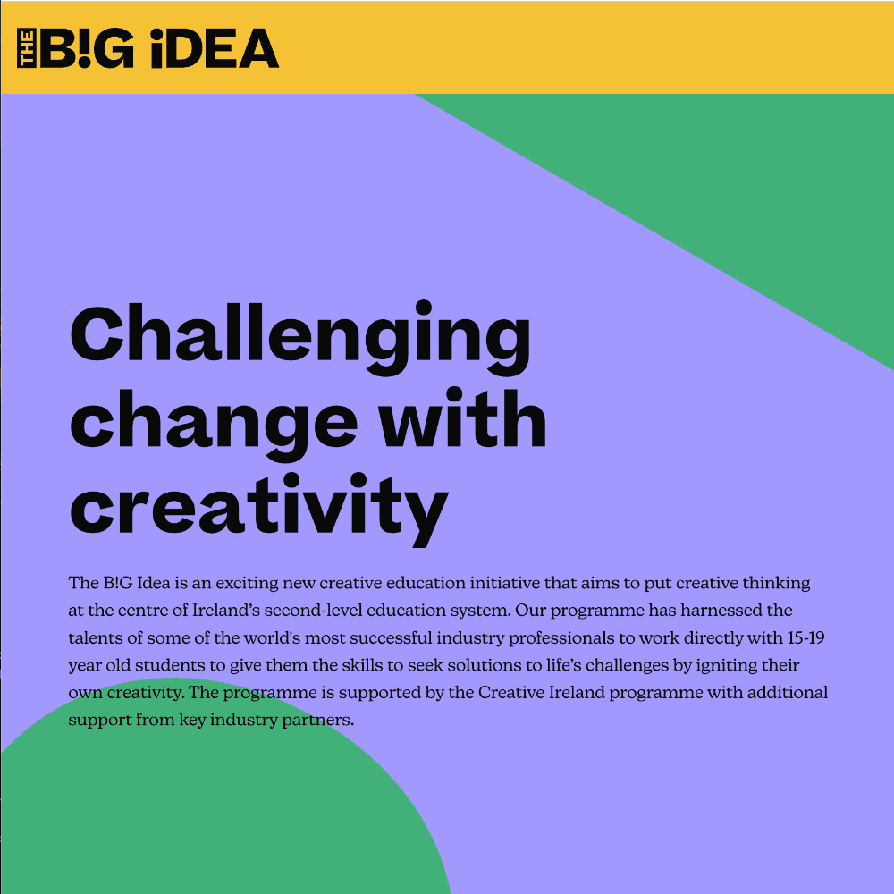 THE B!G iDEA - Ireland: Startup Volunteer - Grants and Mentoring