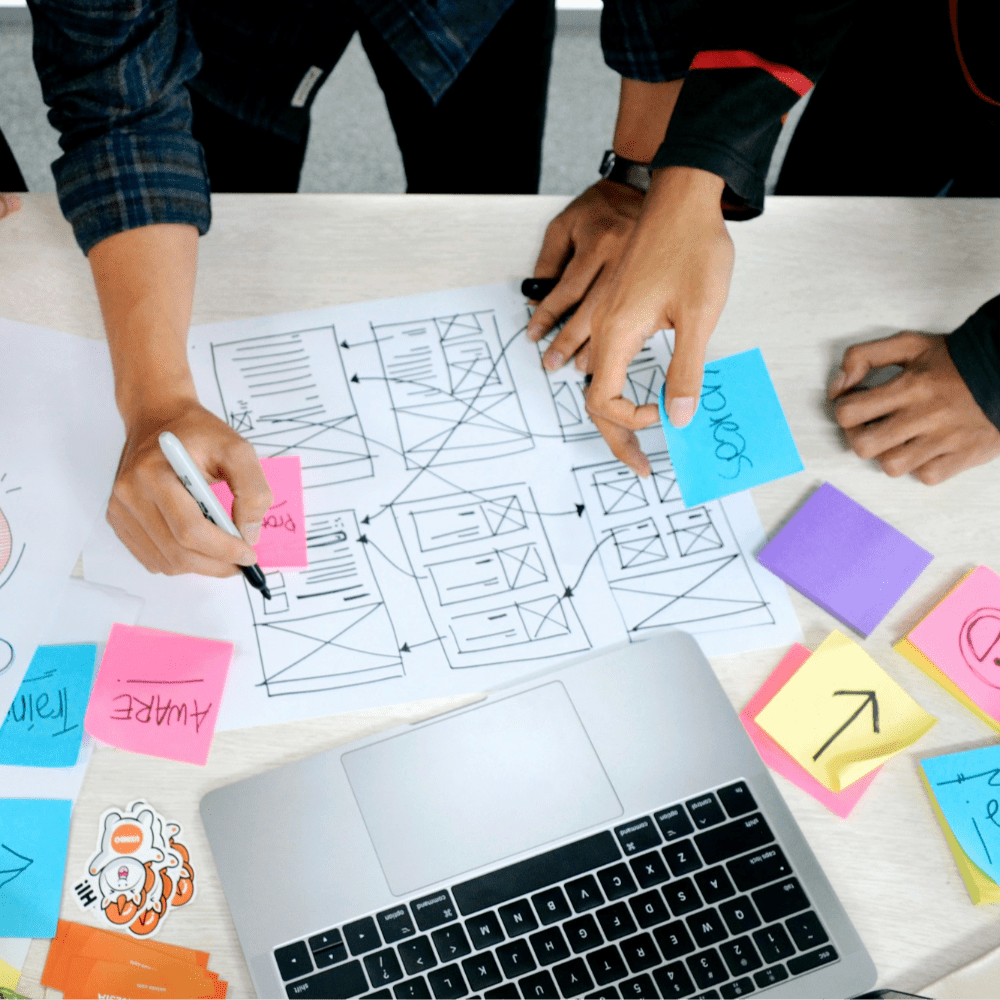 Organisation design, governance and team building.