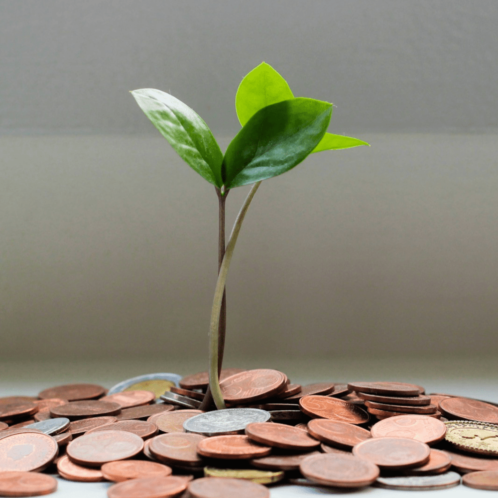 Fundraising evaluation