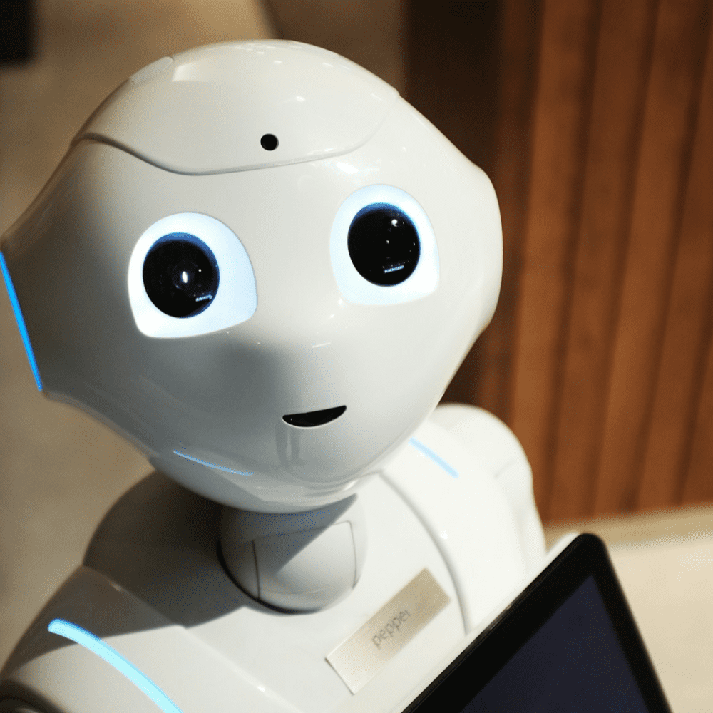 Project Manager at Technology Cluster/Incubator