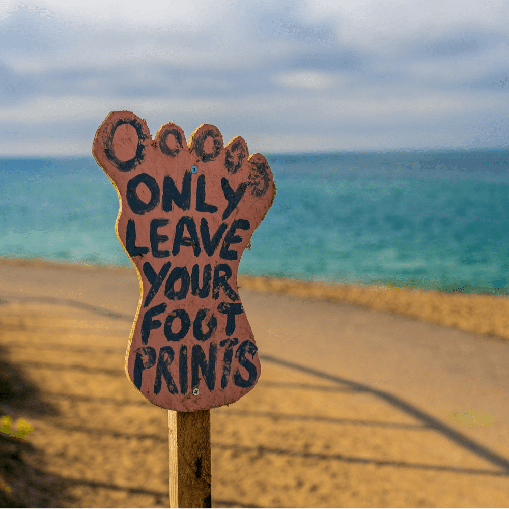 Sustainability advisor and B Corp consultant