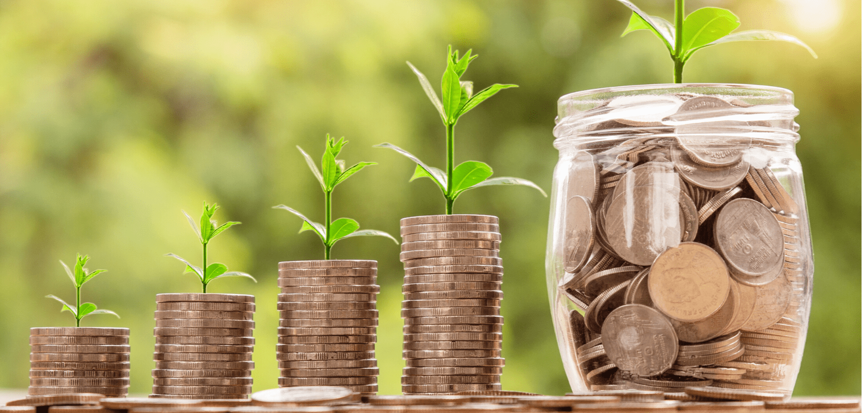 Global Sales Director & Consultant 