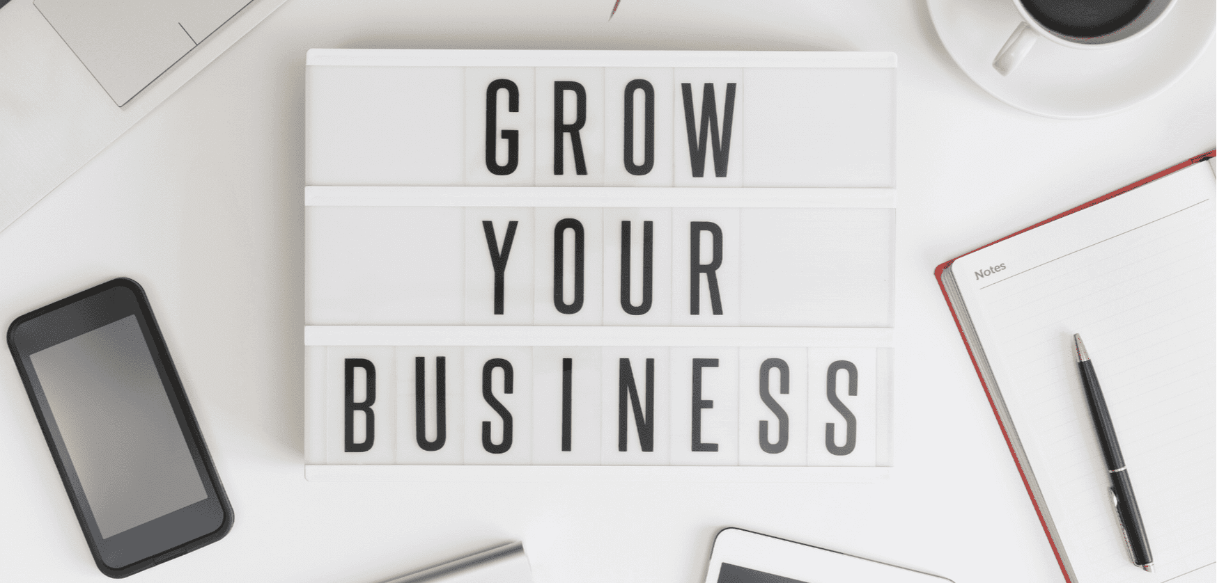 Chief Marketing Consultant 