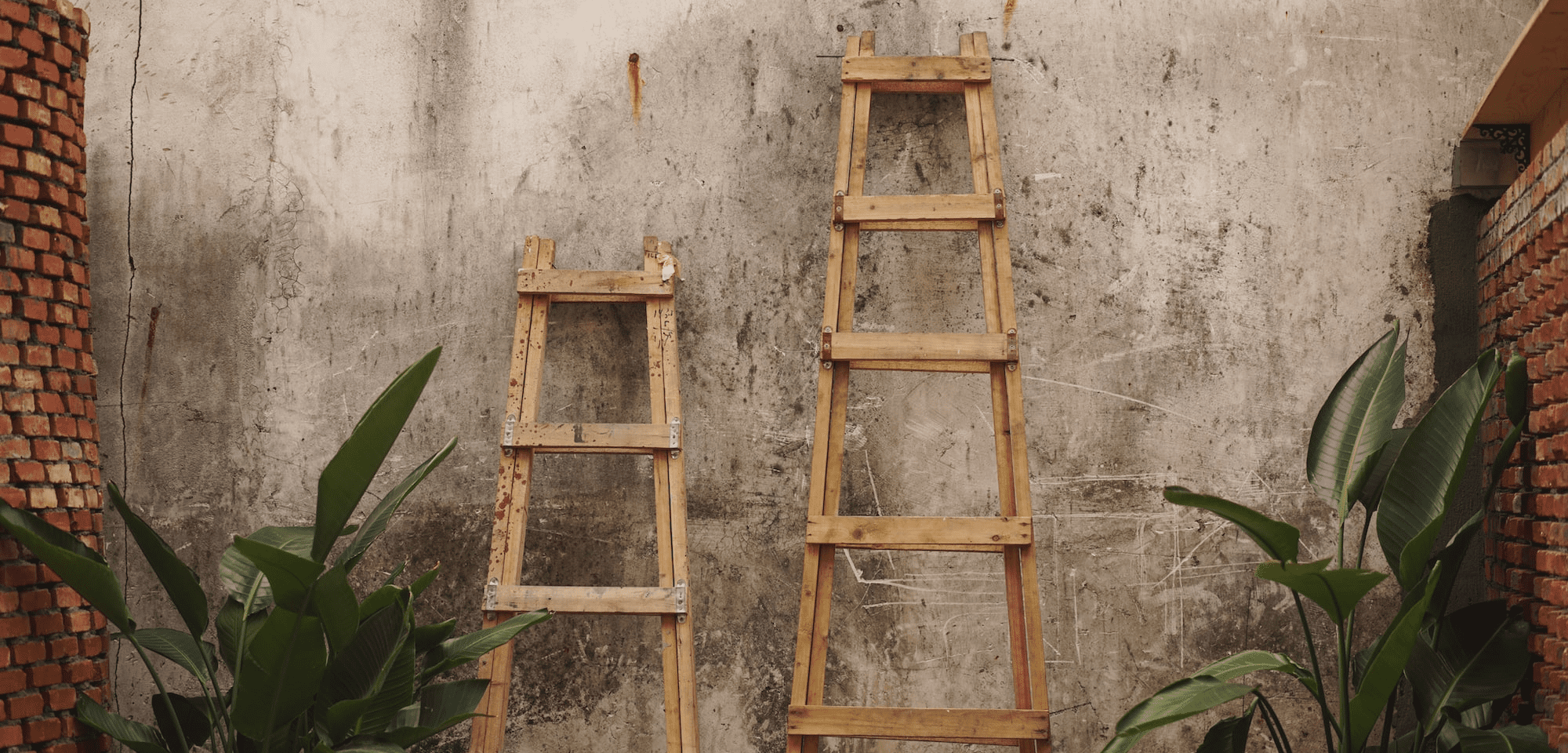 Mentor to founders and entrepreneurs