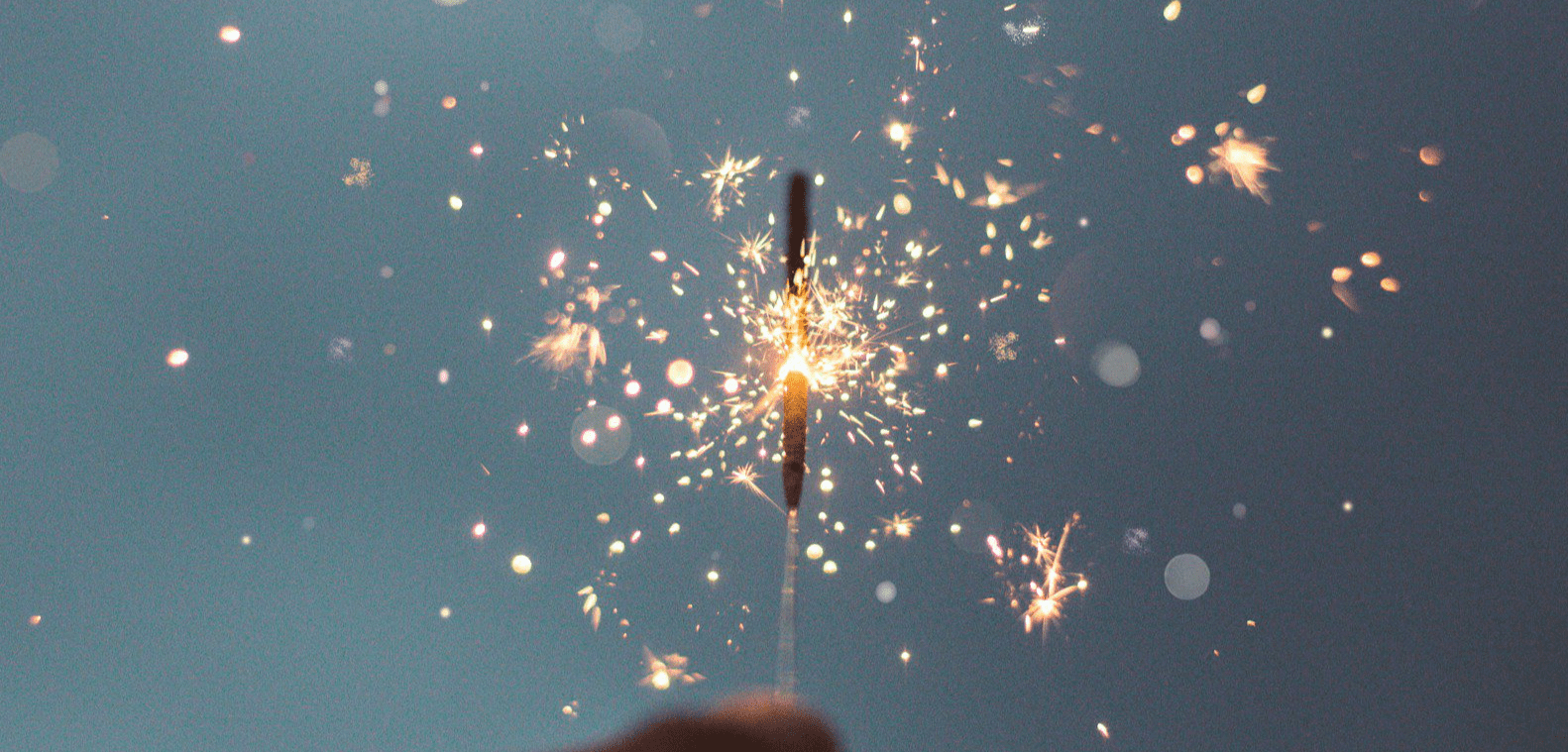 Interim Director/Head of Finance and Operations