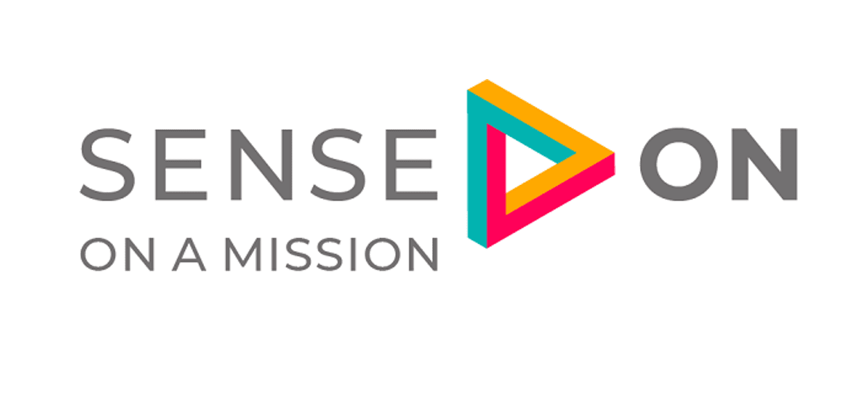 Channel Sales Programme Development