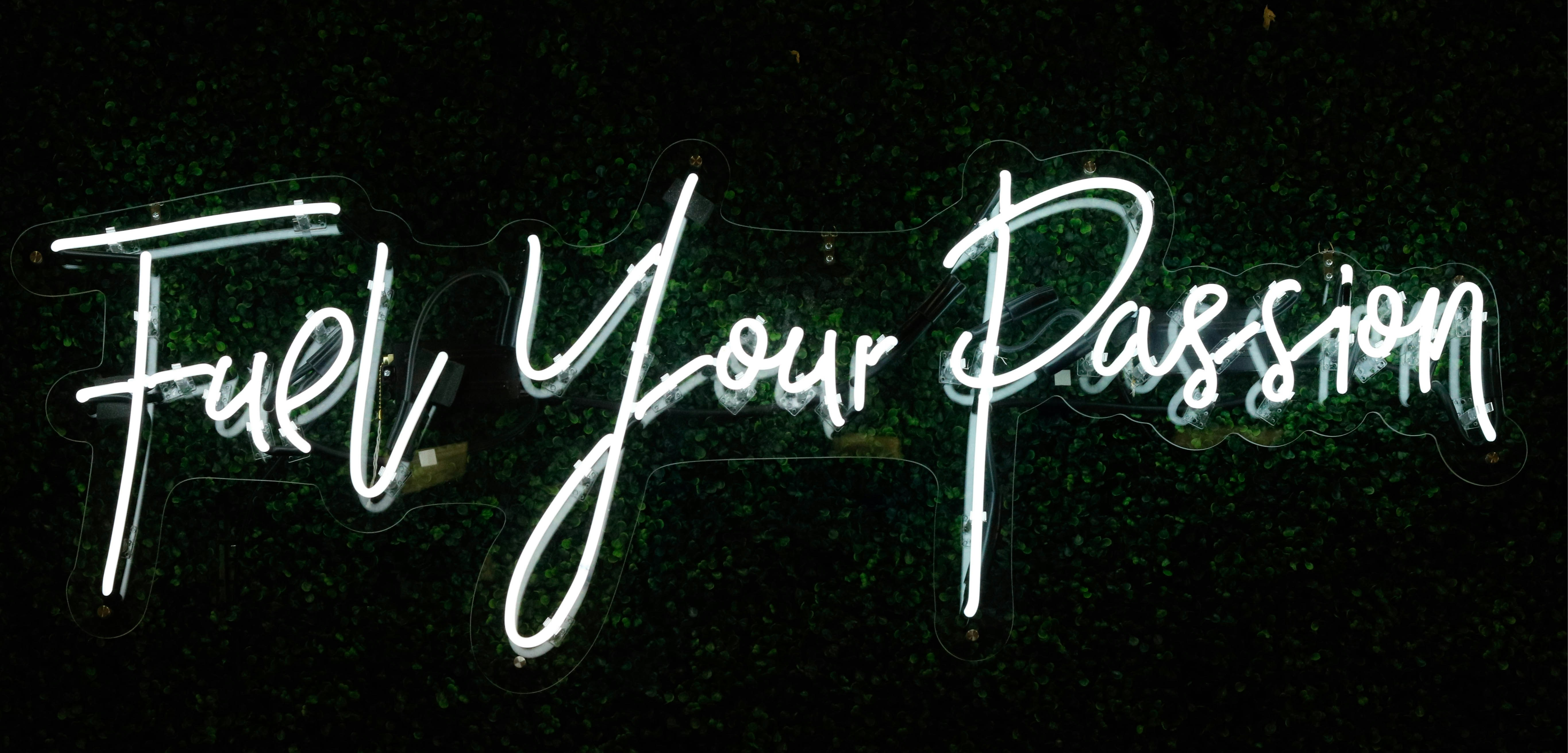 Head of Content at The Portfolio Collective