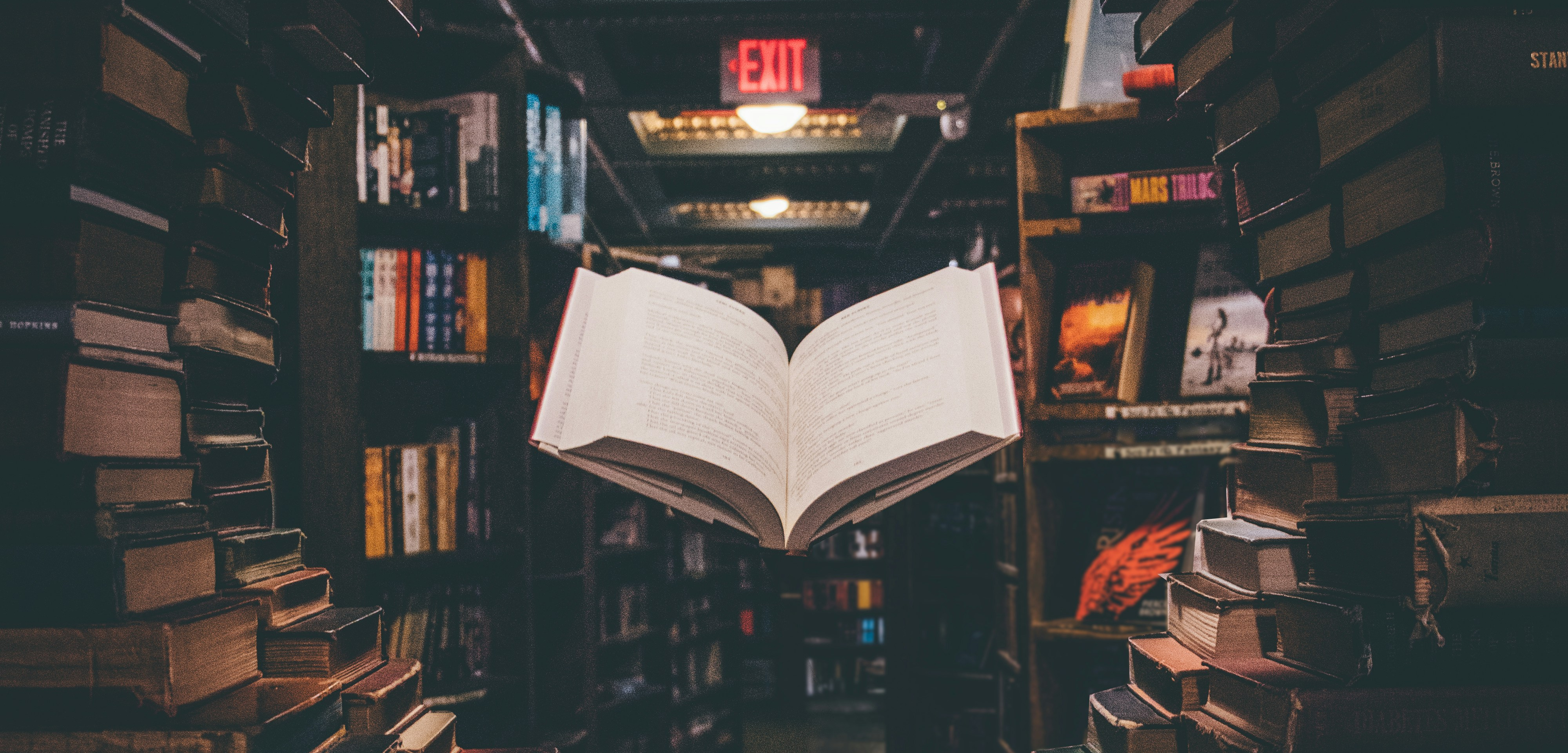 Research writing and reports