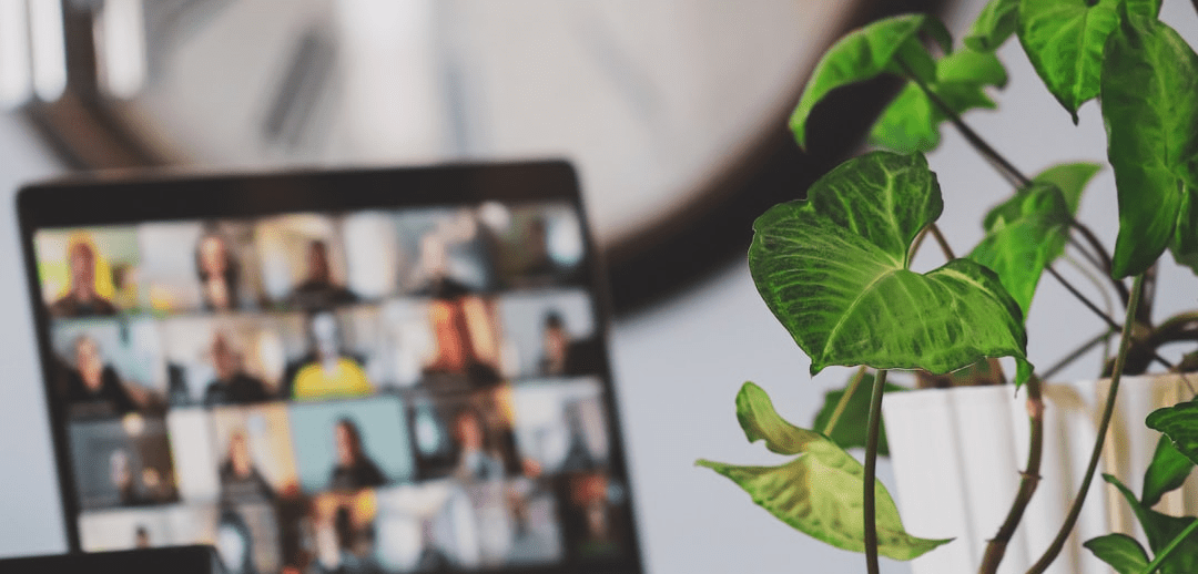 Growthspace Expert and Facilitator