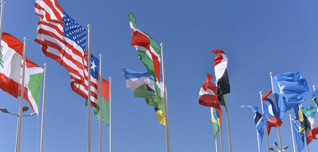 International Expansion