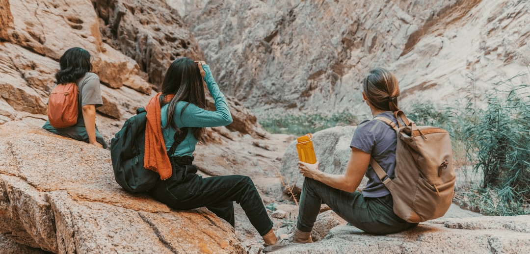 President of Professional Women Network