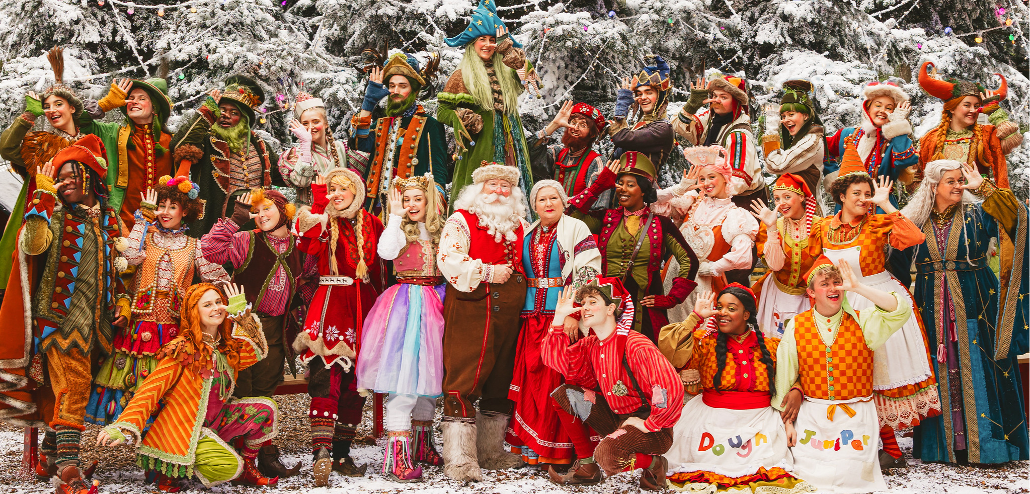 Board Member & Mentor - Various