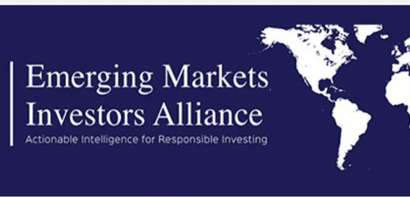 Senior Advisor to the EMIA - Emerging Markets Investor Alliance